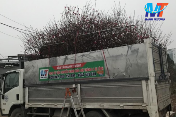 Thuê xe tải 5 tấn chở hàng giá rẻ tại Phú Đô Nam Từ Liêm Hà Nội chất lượng