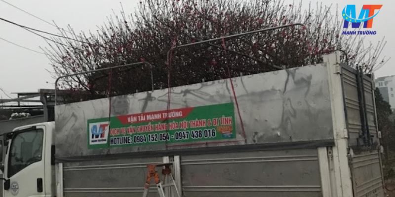 Mạnh Trường - Đơn vị cho thuê xe uy tín