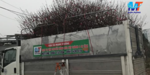 Thuê xe vận chuyển hàng tại Hà Nội uy tín