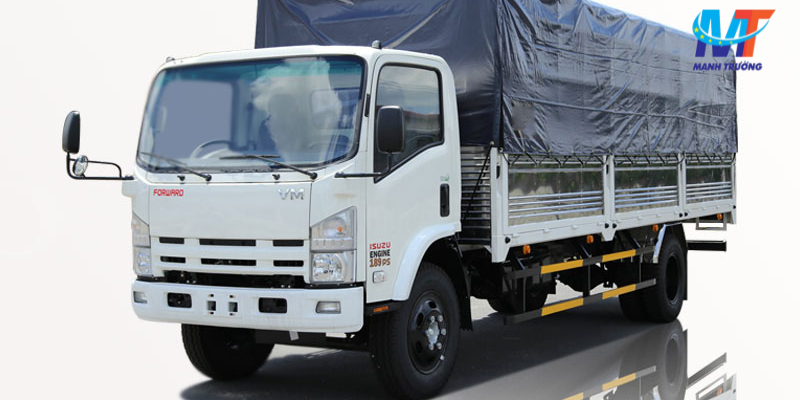 Dịch vụ vận chuyển đa dạng tại Mạnh Trường
