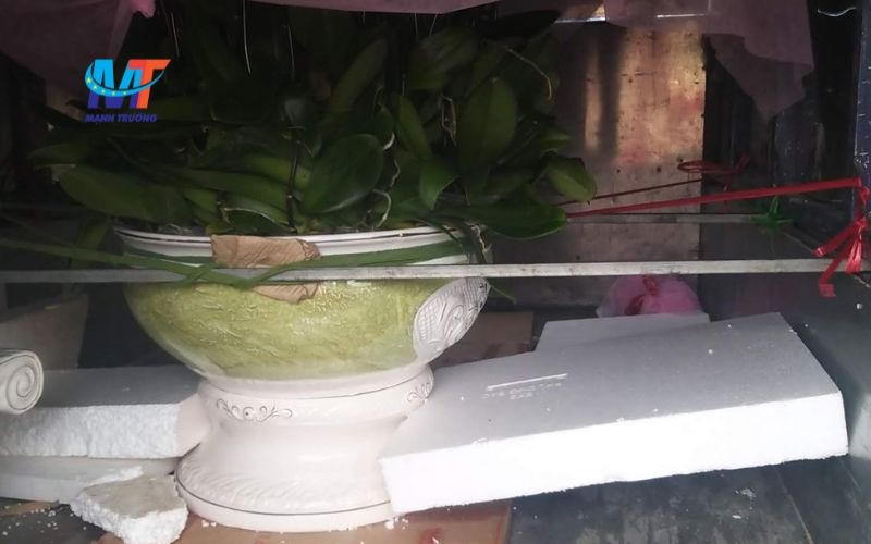 Với dịch vụ vận chuyển văn phòng trọn gói Mạnh Trường, bạn sẽ nhận được giải pháp toàn diện, từ đóng gói, tháo lắp đến vận chuyển, giúp tiết kiệm thời gian và chi phí.