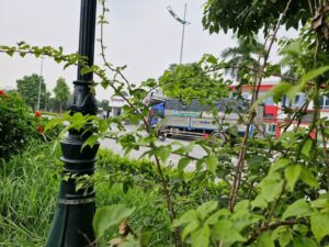 So với các đơn vị khác, Mạnh Trường cam kết cung cấp dịch vụ giá rẻ nhưng vẫn đảm bảo chất lượng. Bạn không phải lo lắng về chi phí phát sinh.