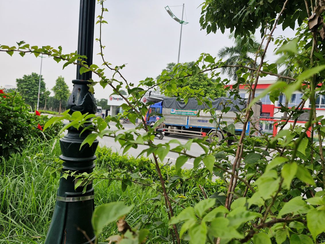 So với các đơn vị khác, Mạnh Trường cam kết cung cấp dịch vụ giá rẻ nhưng vẫn đảm bảo chất lượng. Bạn không phải lo lắng về chi phí phát sinh.