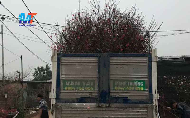 chuyển nhà an toàn và hiệu quả