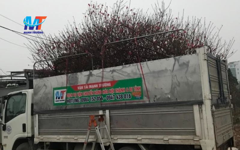 chuyển nhà an toàn và hiệu quả